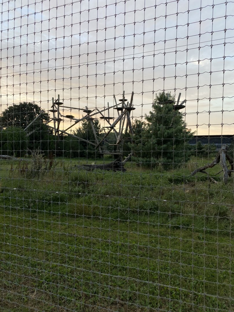 Leopard Heights Main Enclosure