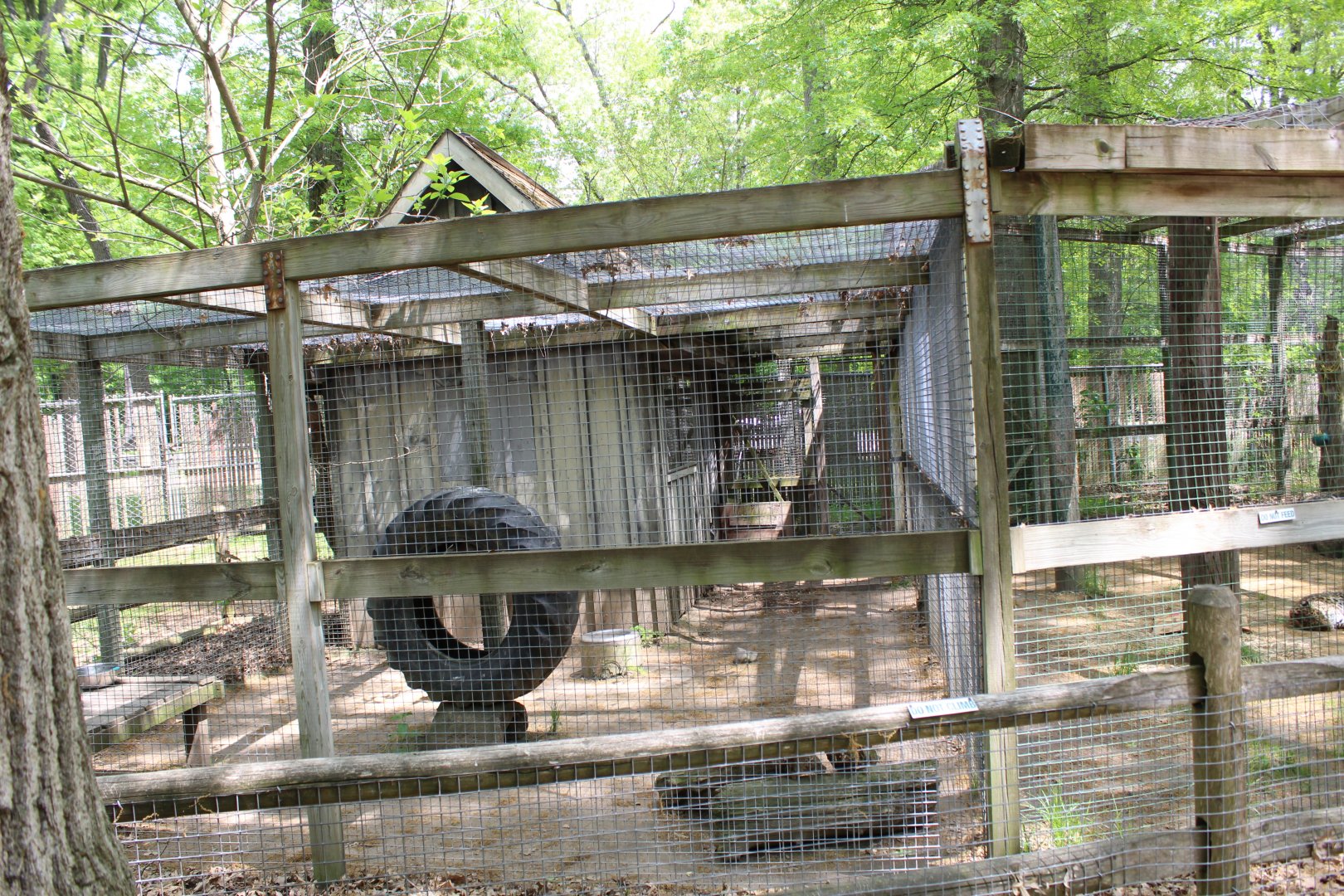 Leopard Holding & Side Pen