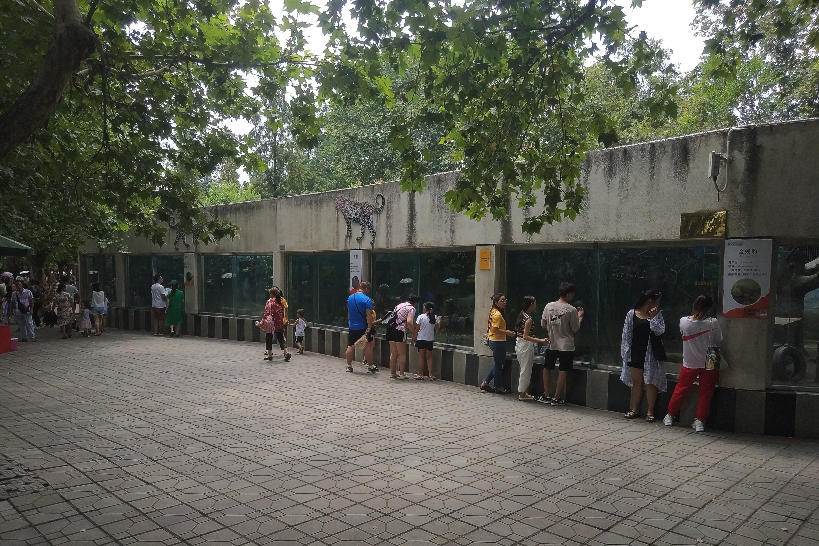 Leopard House Viewing