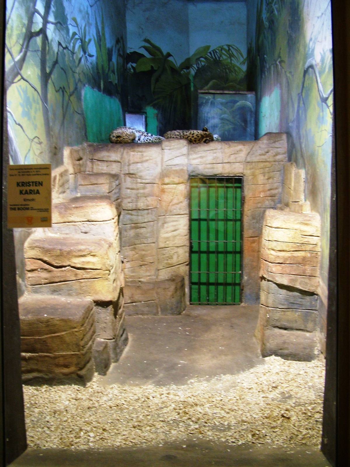 Leopard Indoor Exhibit at Usti, 29/08/12