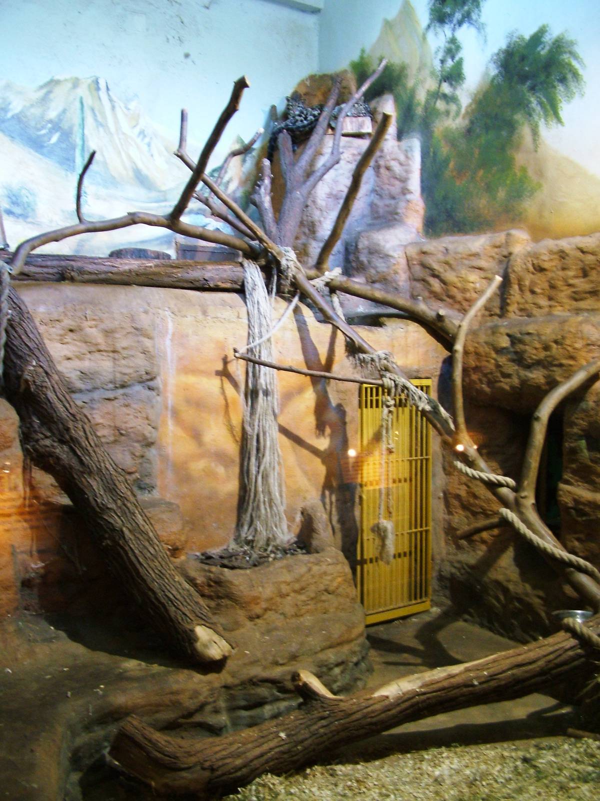 Leopard Indoor Exhibit at Usti, 29/08/12