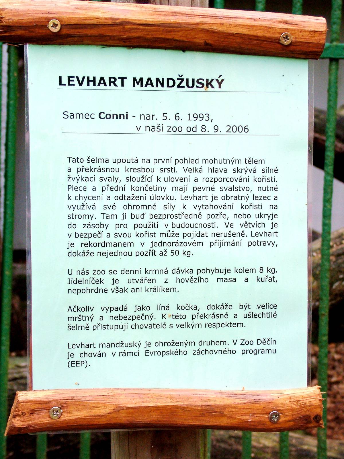 Leopard Information at Decin, 28/08/12