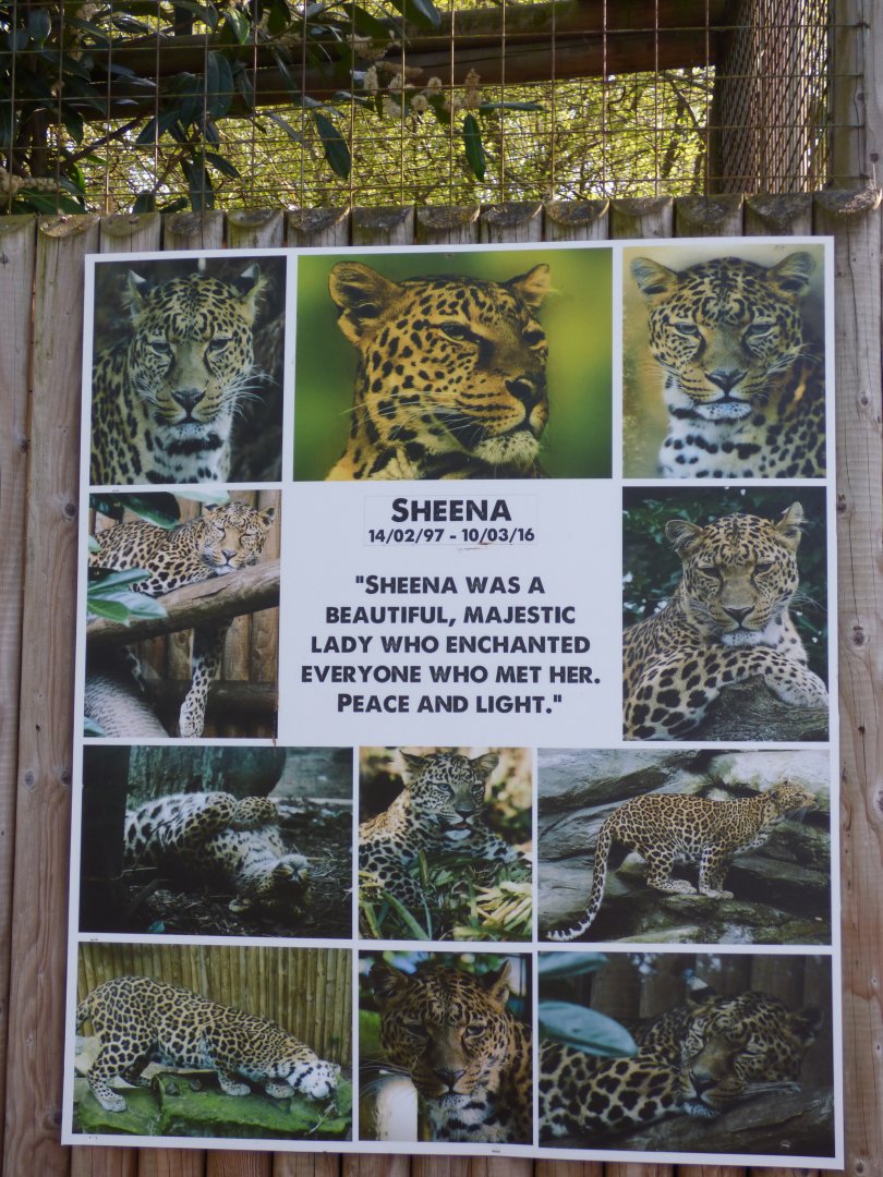 Leopard Memorial