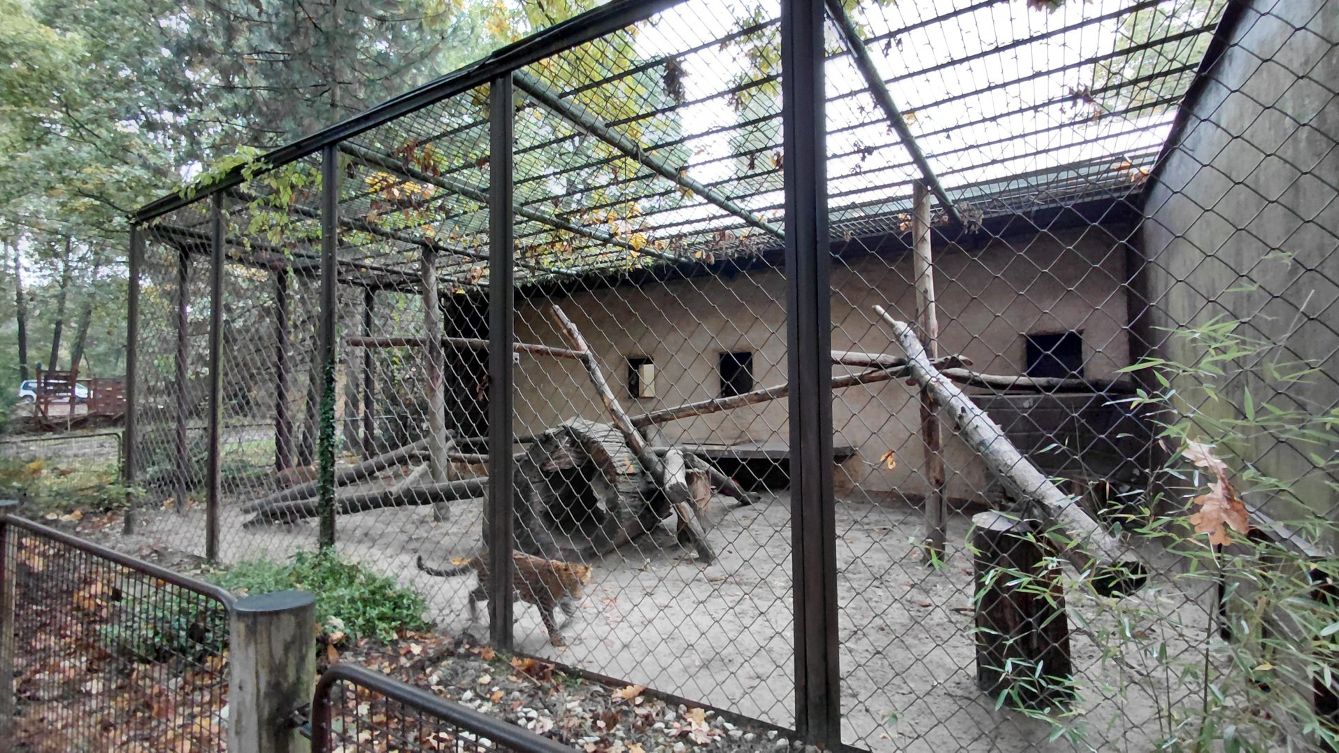 Leopard outdoor cage