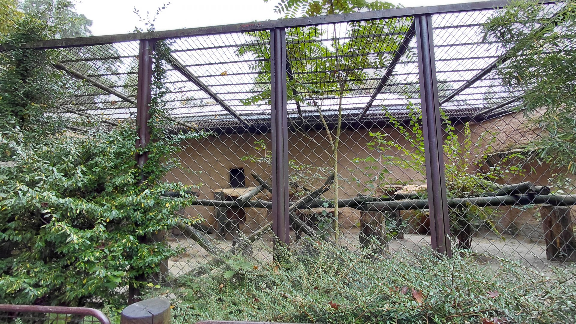 Leopard outdoor cage