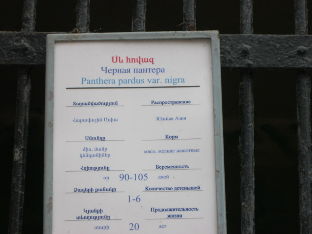 leopard panel ( Armenia ) Yerevan zoo