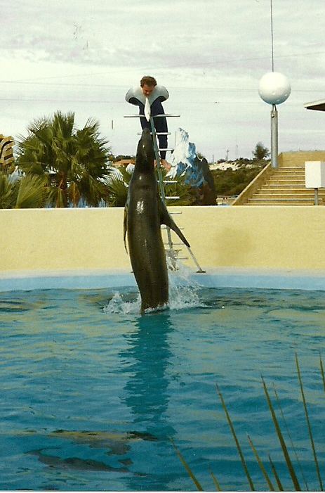 Leopard Seal - Atlantis Marine Park, Western Australia