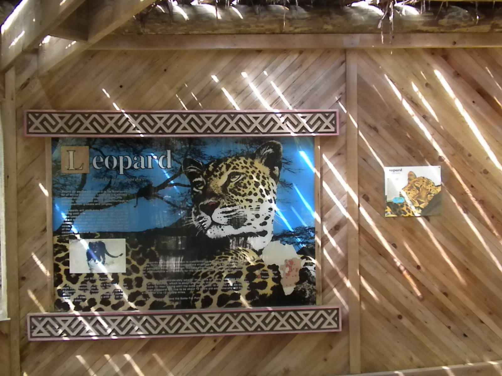 Leopard Sign