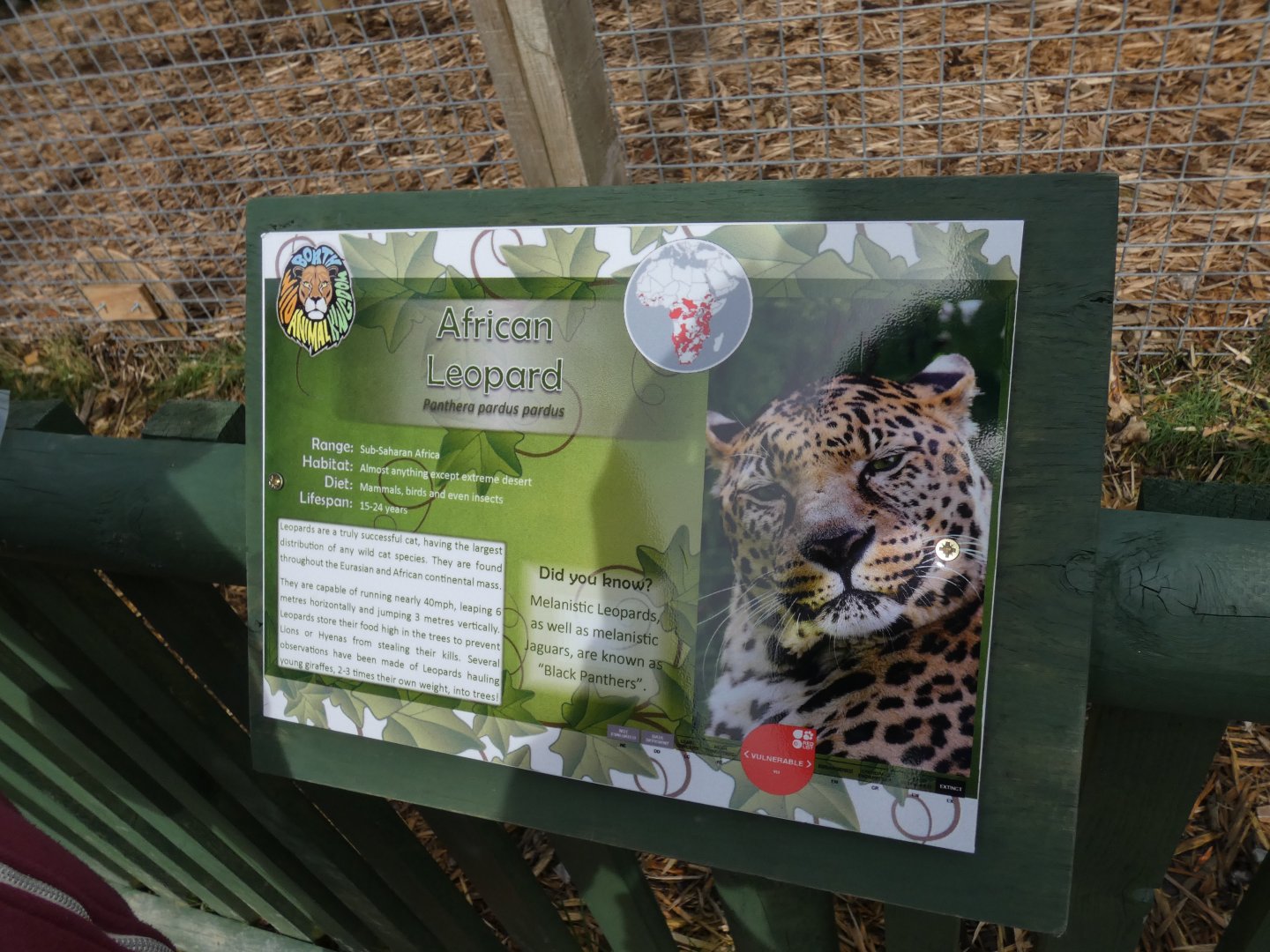 Leopard Signage