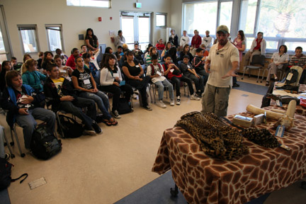 Leopard skin coat, ivory, etc