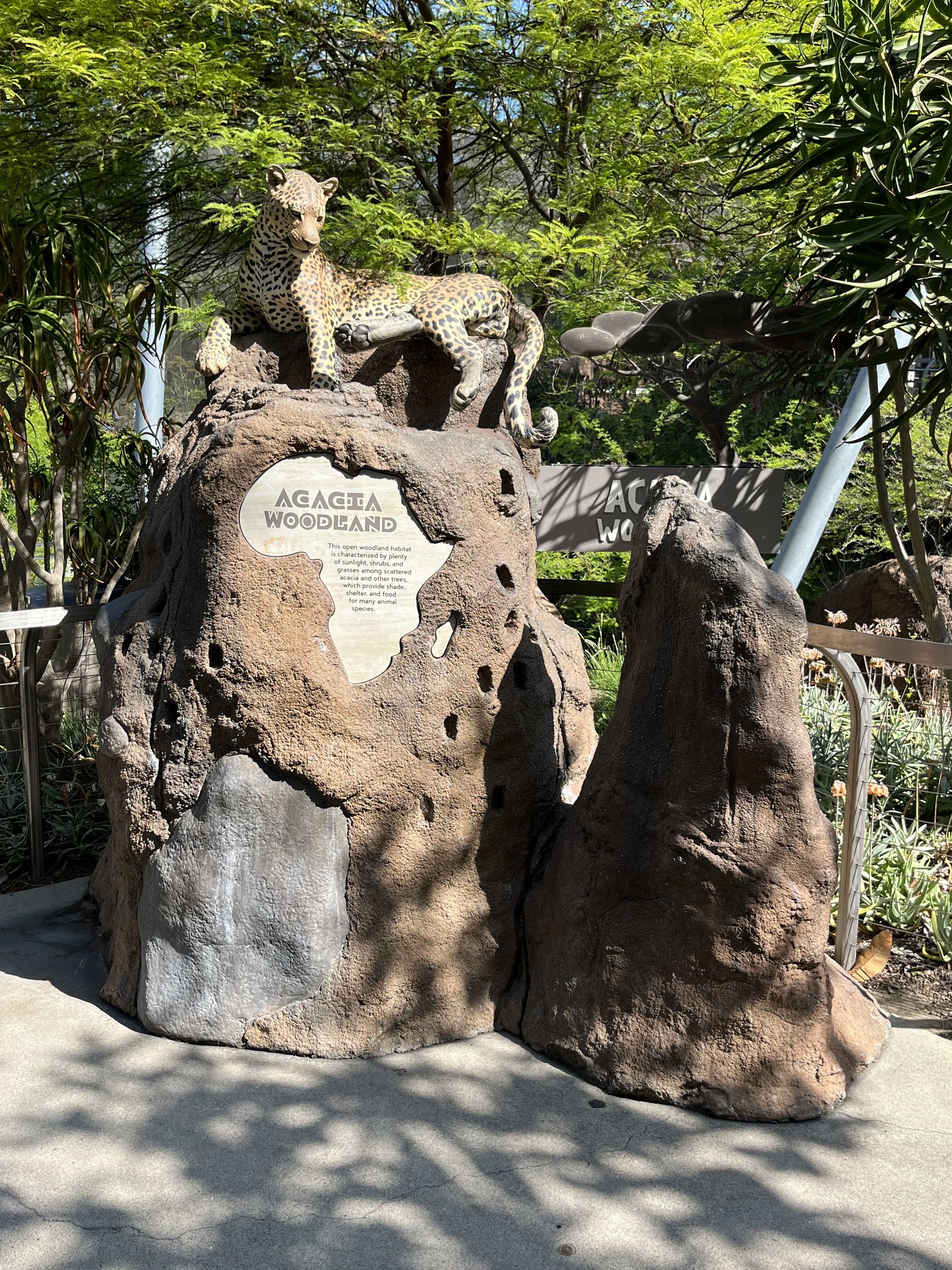 Leopard Statue - Africa Rocks