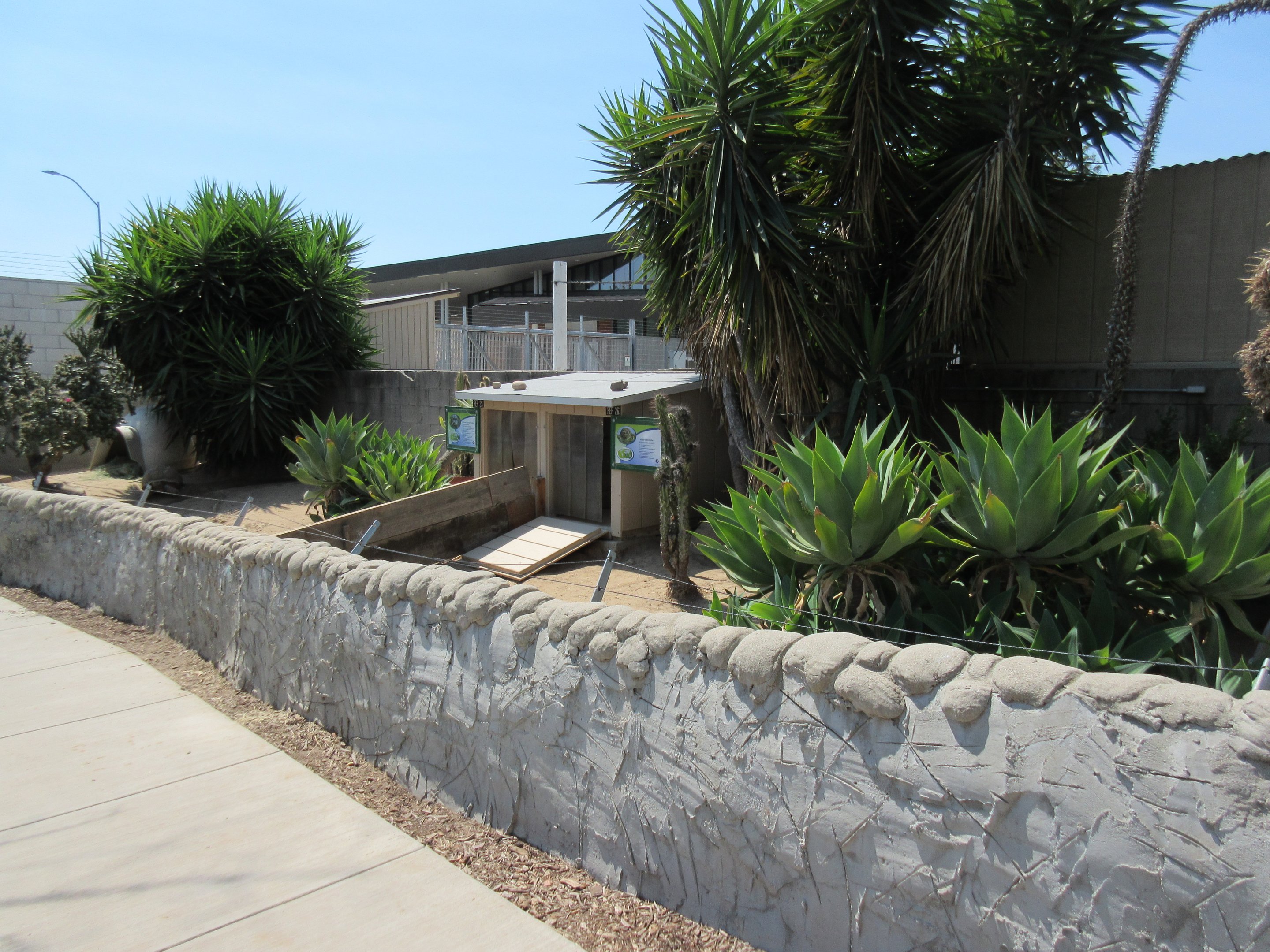 Leopard Tortoise + African Spurred Tortoise Exhibits
