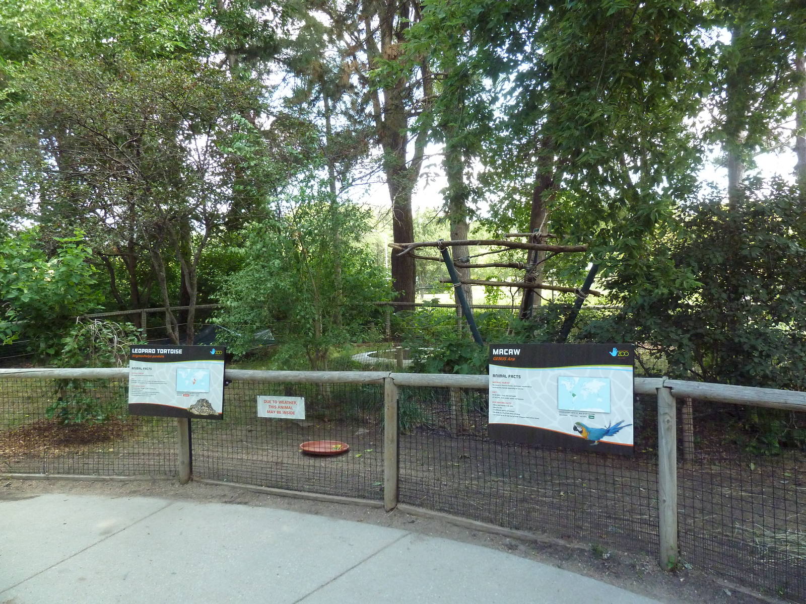 Leopard Tortoise/Blue-and-Gold Macaw Exhibit