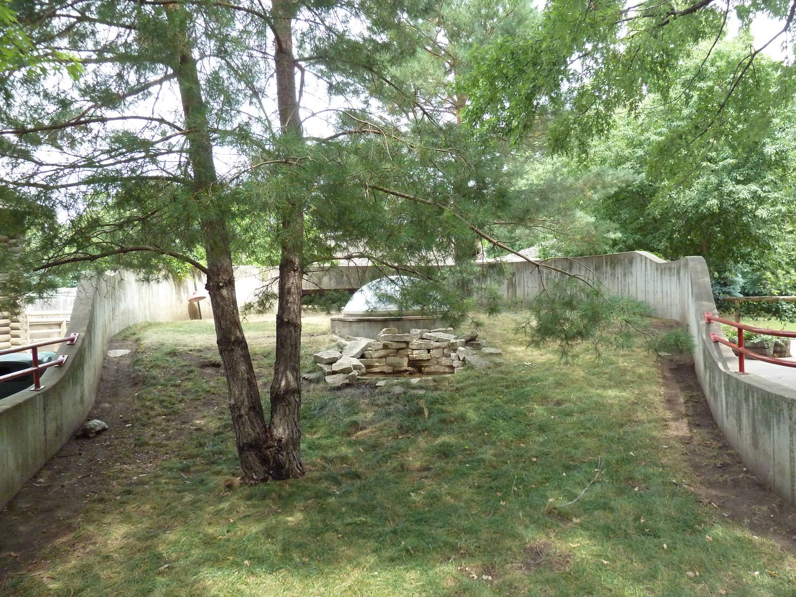 Leopard Tortoise + Desert Tortoise Exhibit