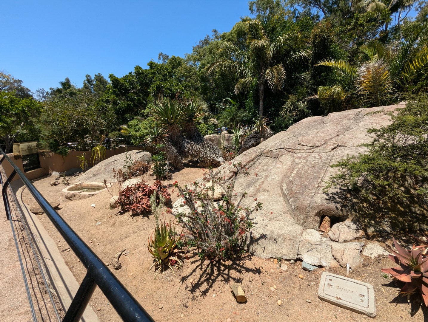 Leopard Tortoise Enclosure in Reptile Walk