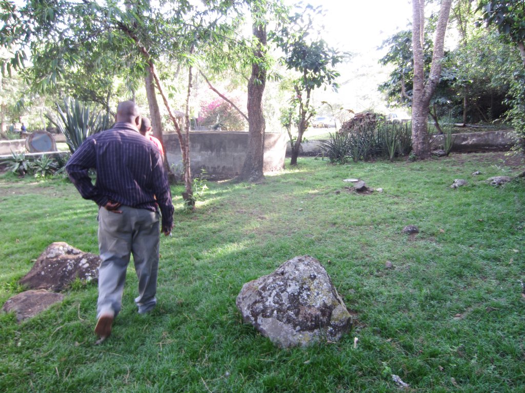 Leopard Tortoise enclosure