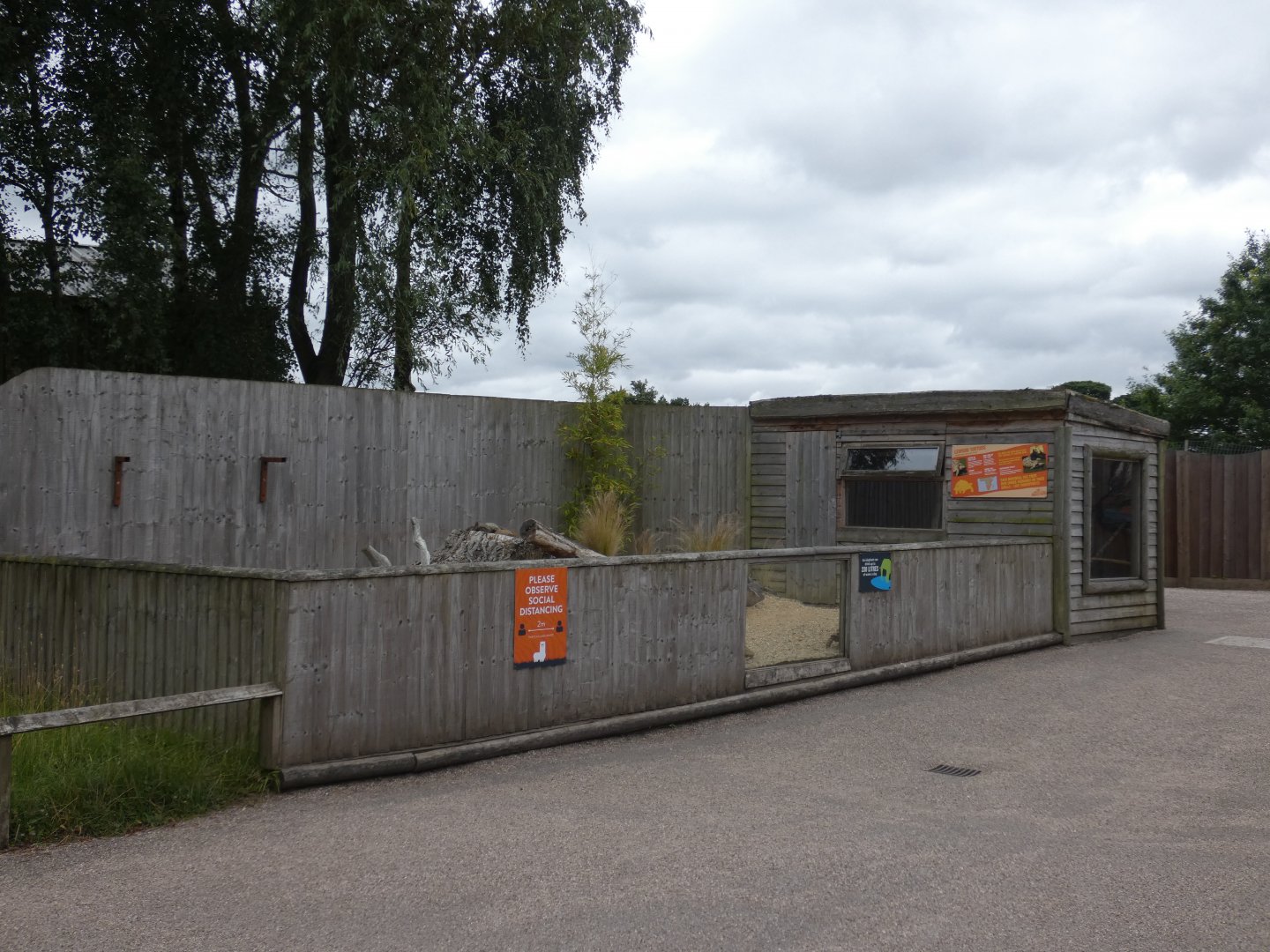 Leopard Tortoise enclosure