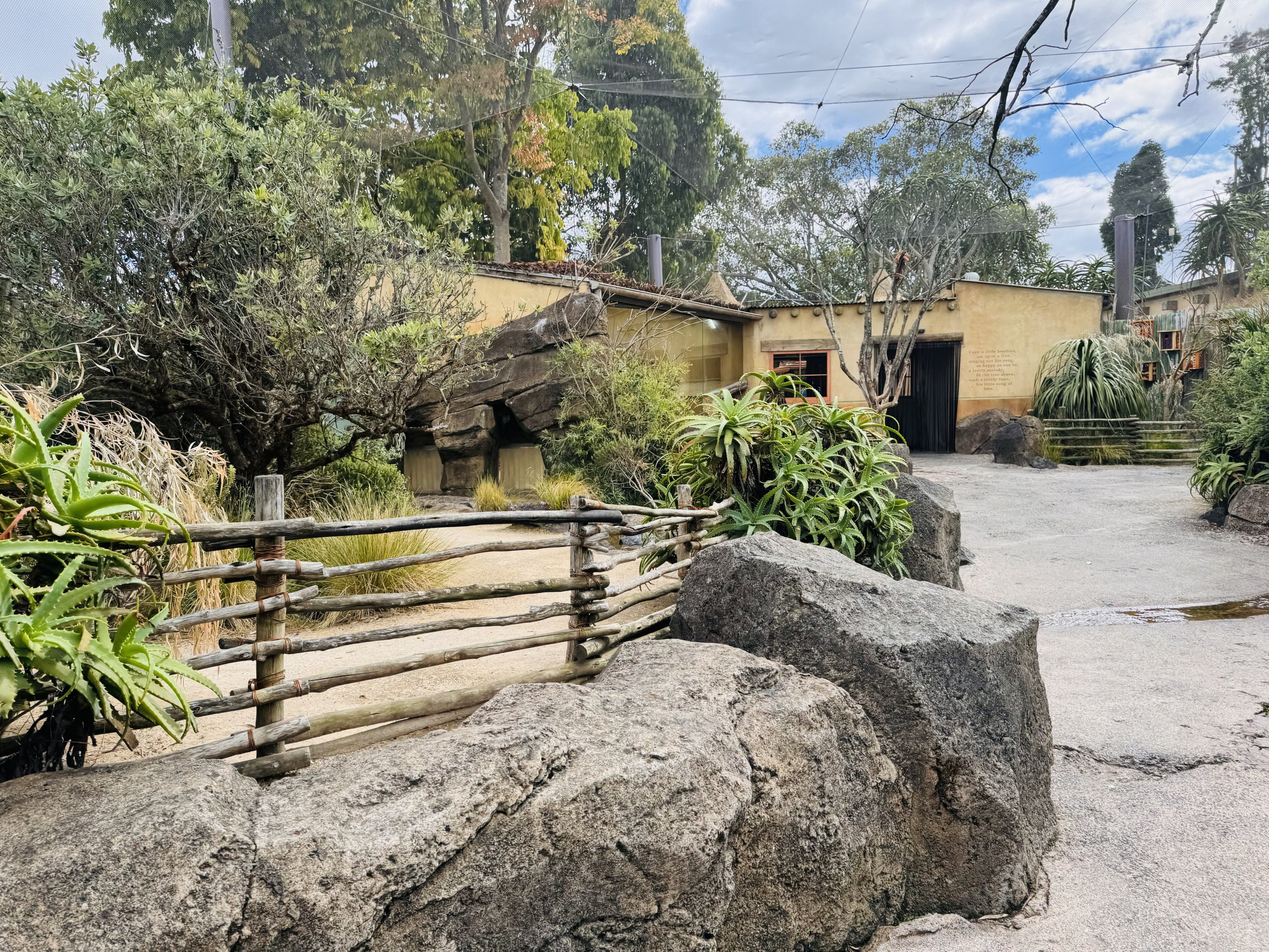 Leopard tortoise enclosure