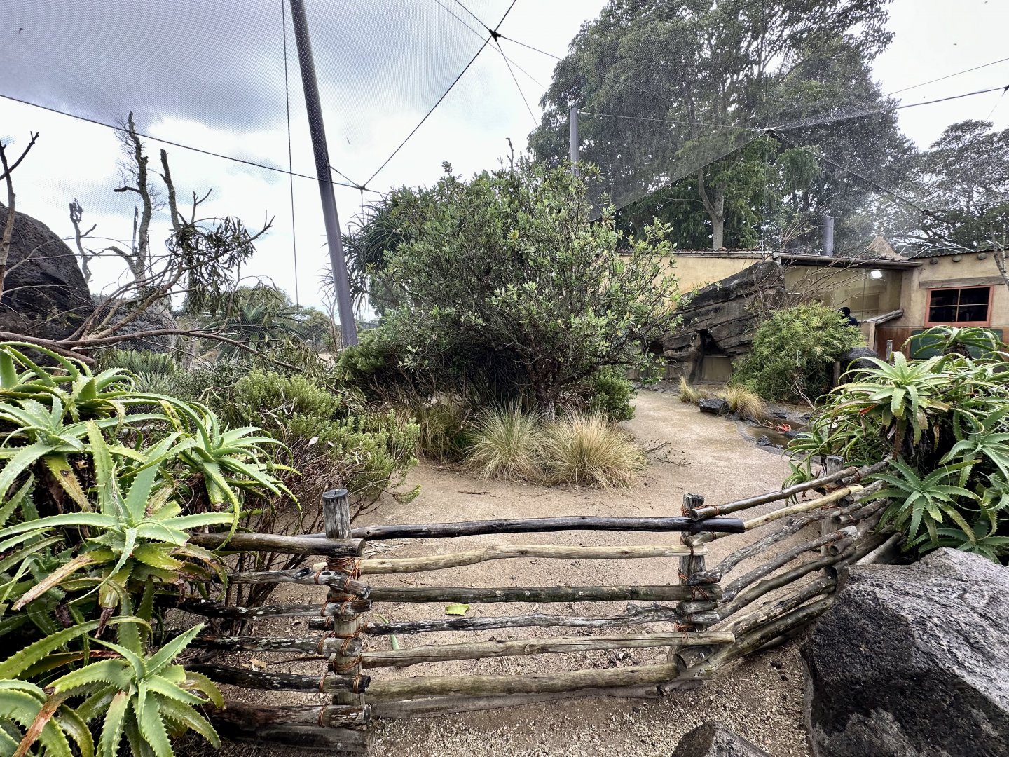 Leopard Tortoise Exhibit (Outdoors)