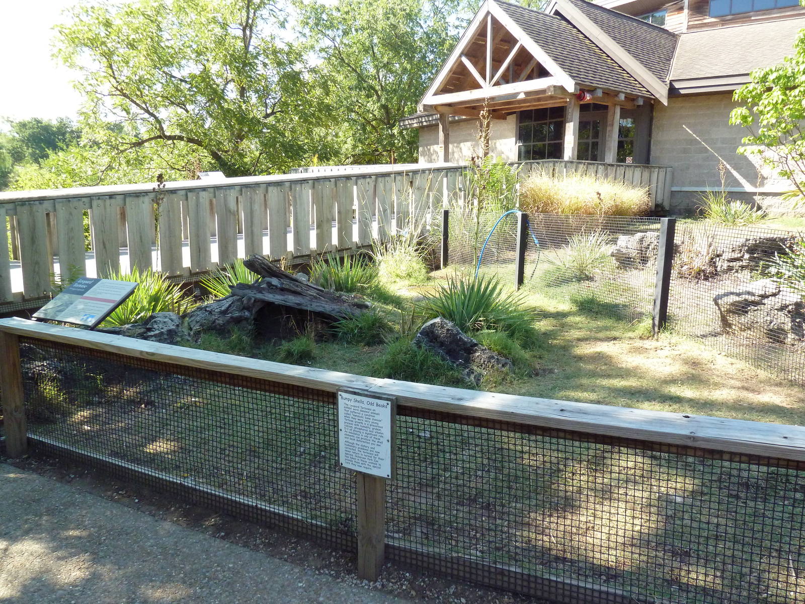 Leopard Tortoise Exhibit + Reptile House