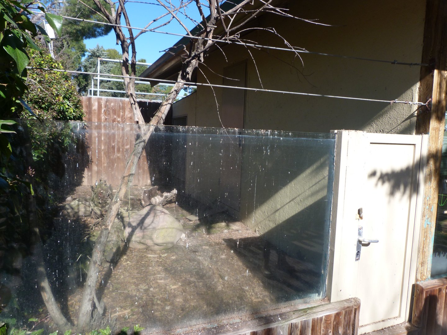 Leopard tortoise exhibit -Zoo Aquarium de Madrid (2025)