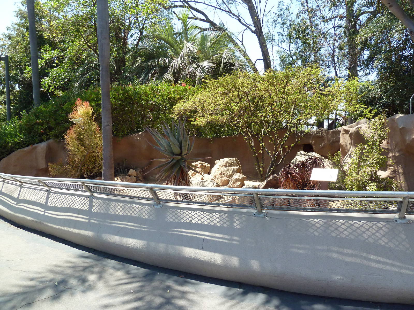 Leopard Tortoise Exhibit