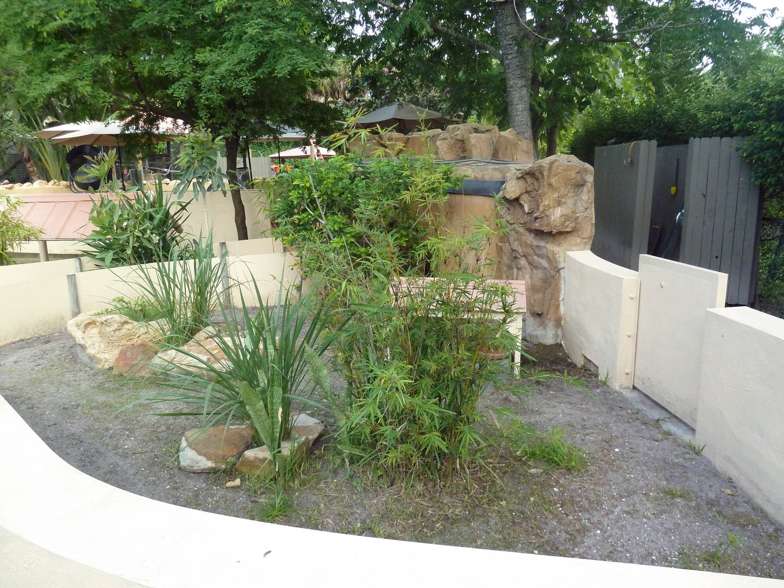 Leopard Tortoise Exhibit