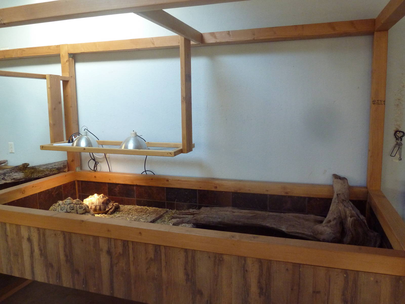 Leopard Tortoise Exhibit