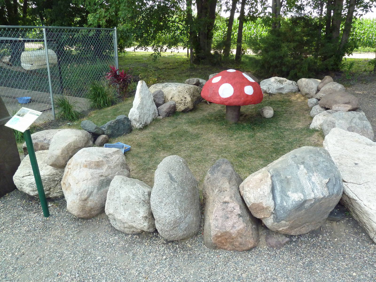 Leopard Tortoise Exhibit