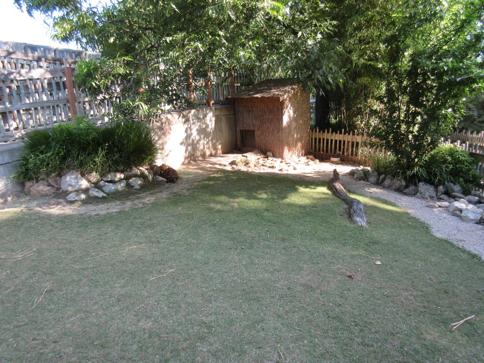 Leopard Tortoise Exhibit