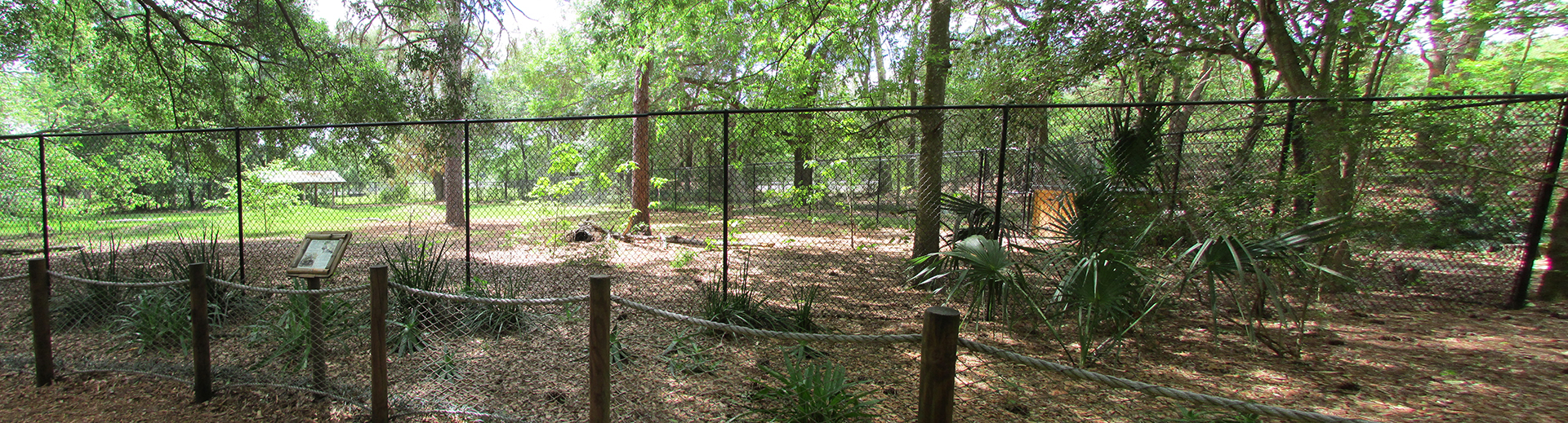 Leopard Tortoise Exhibit