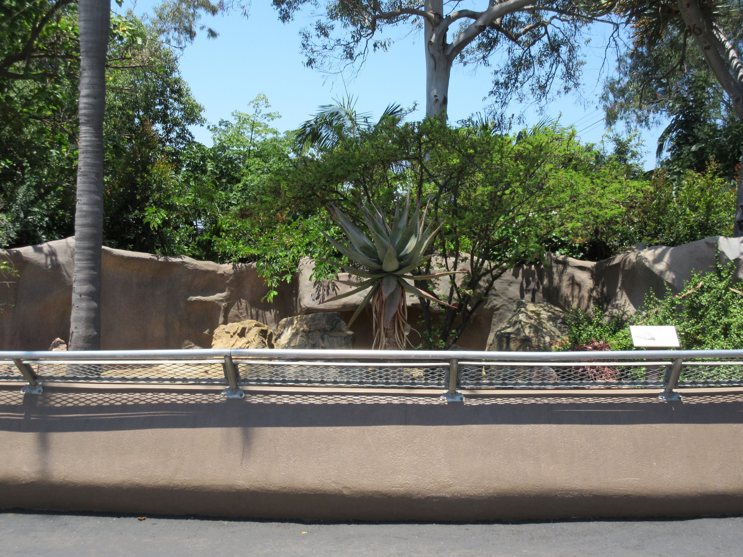 Leopard Tortoise Exhibit