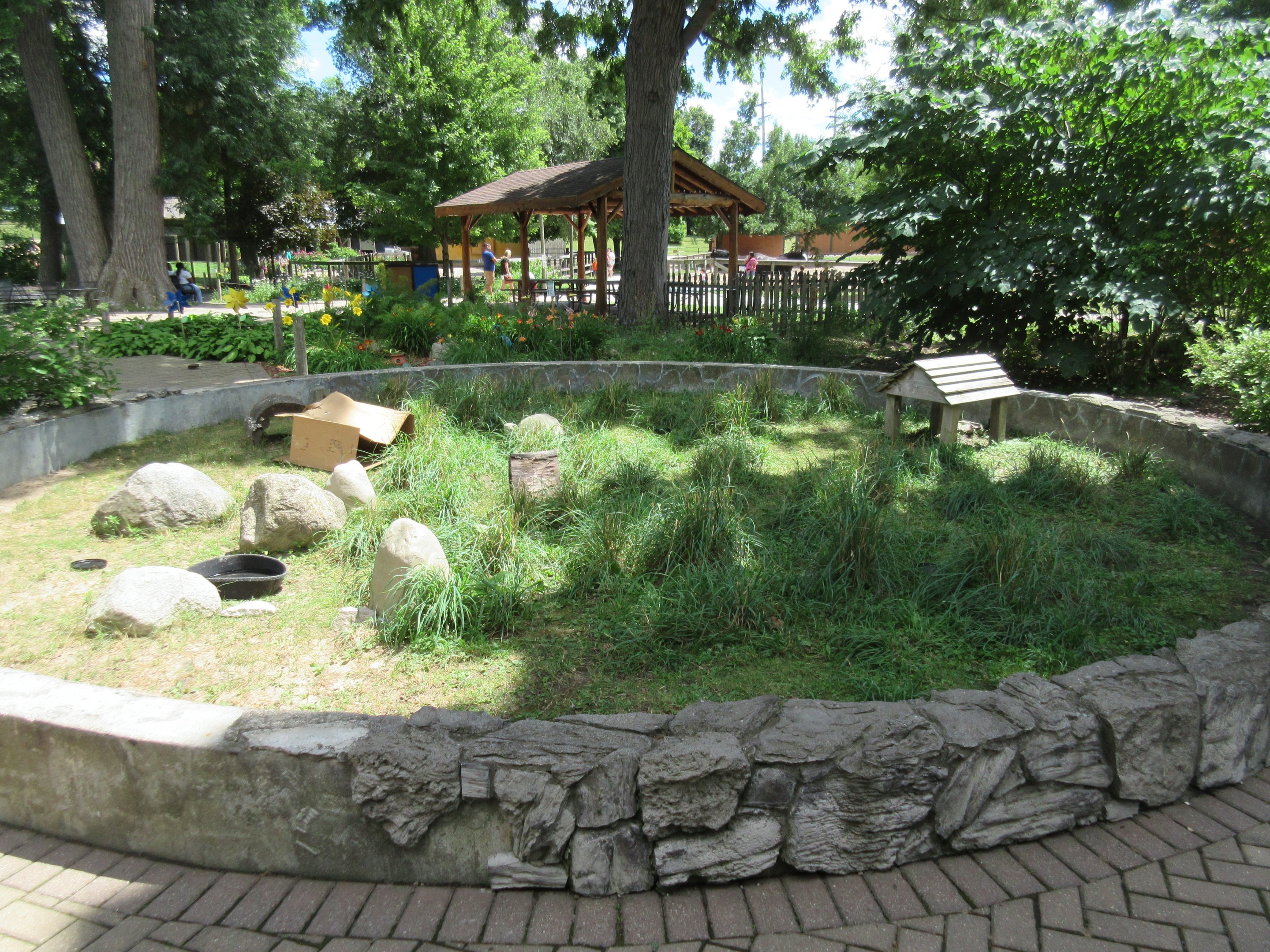 Leopard Tortoise Exhibit