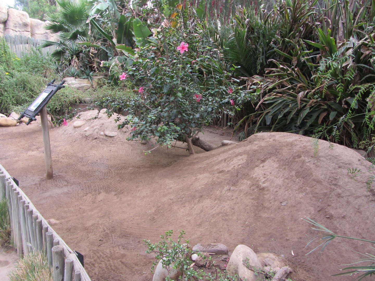 Leopard Tortoise Exhibit