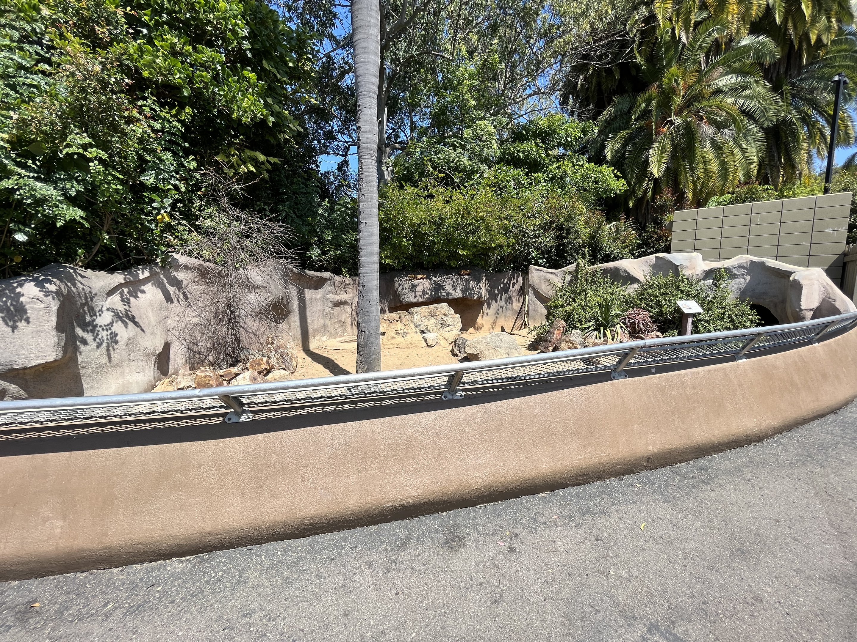 Leopard Tortoise Exhibit