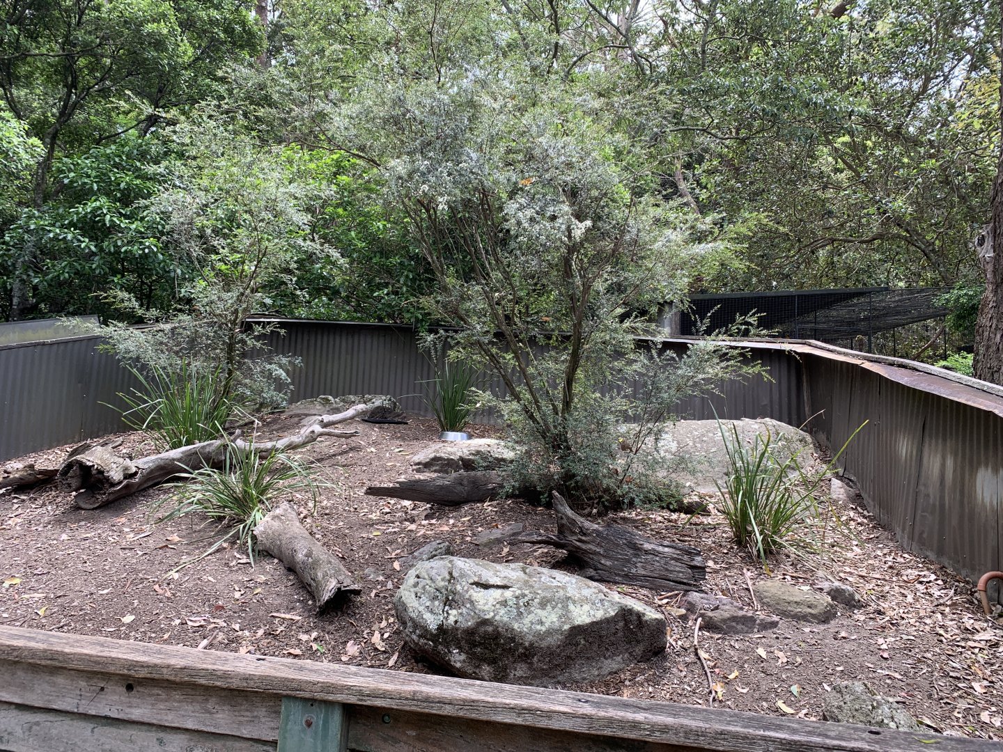 Leopard Tortoise Exhibit