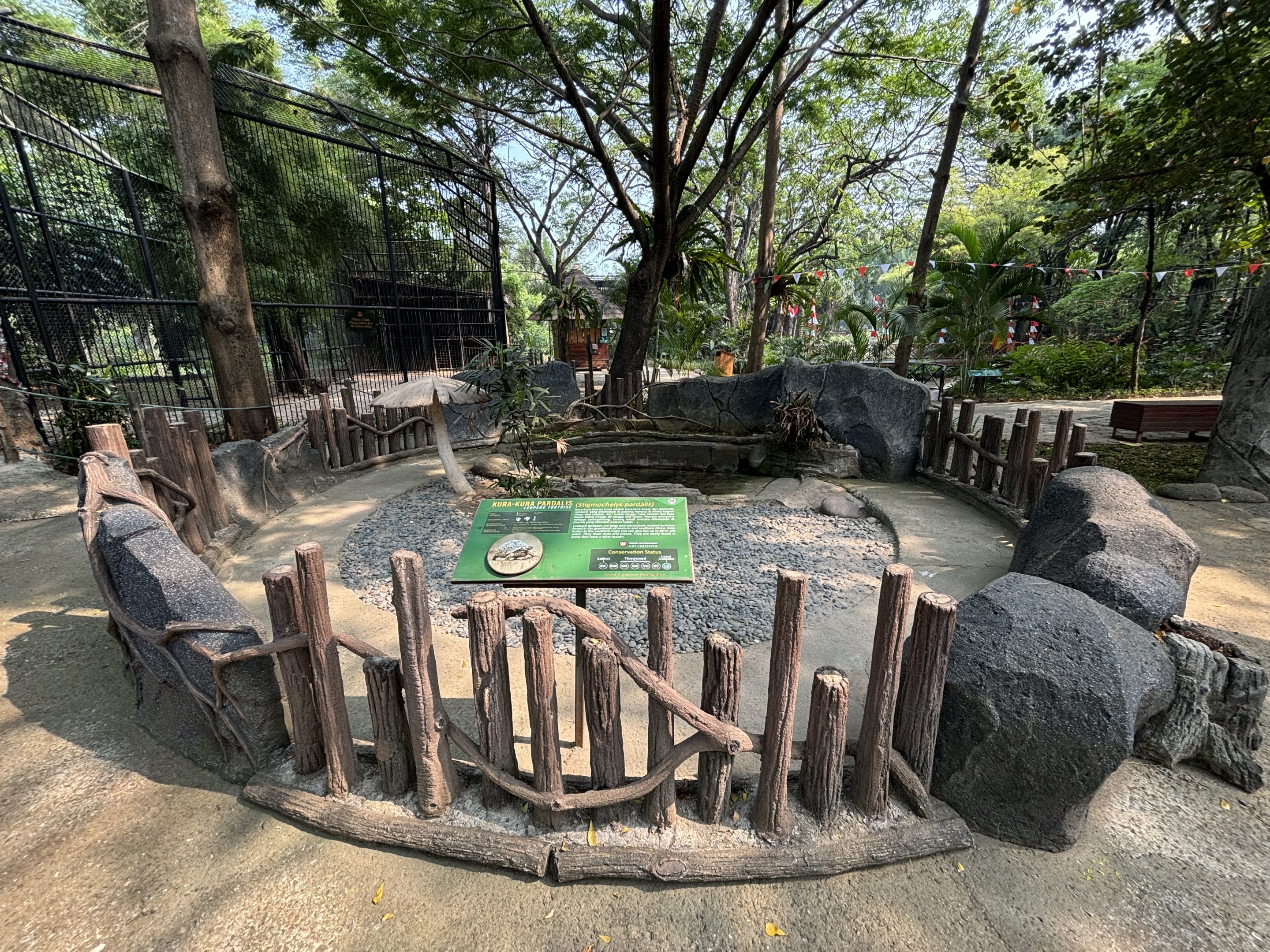 Leopard Tortoise Exhibit