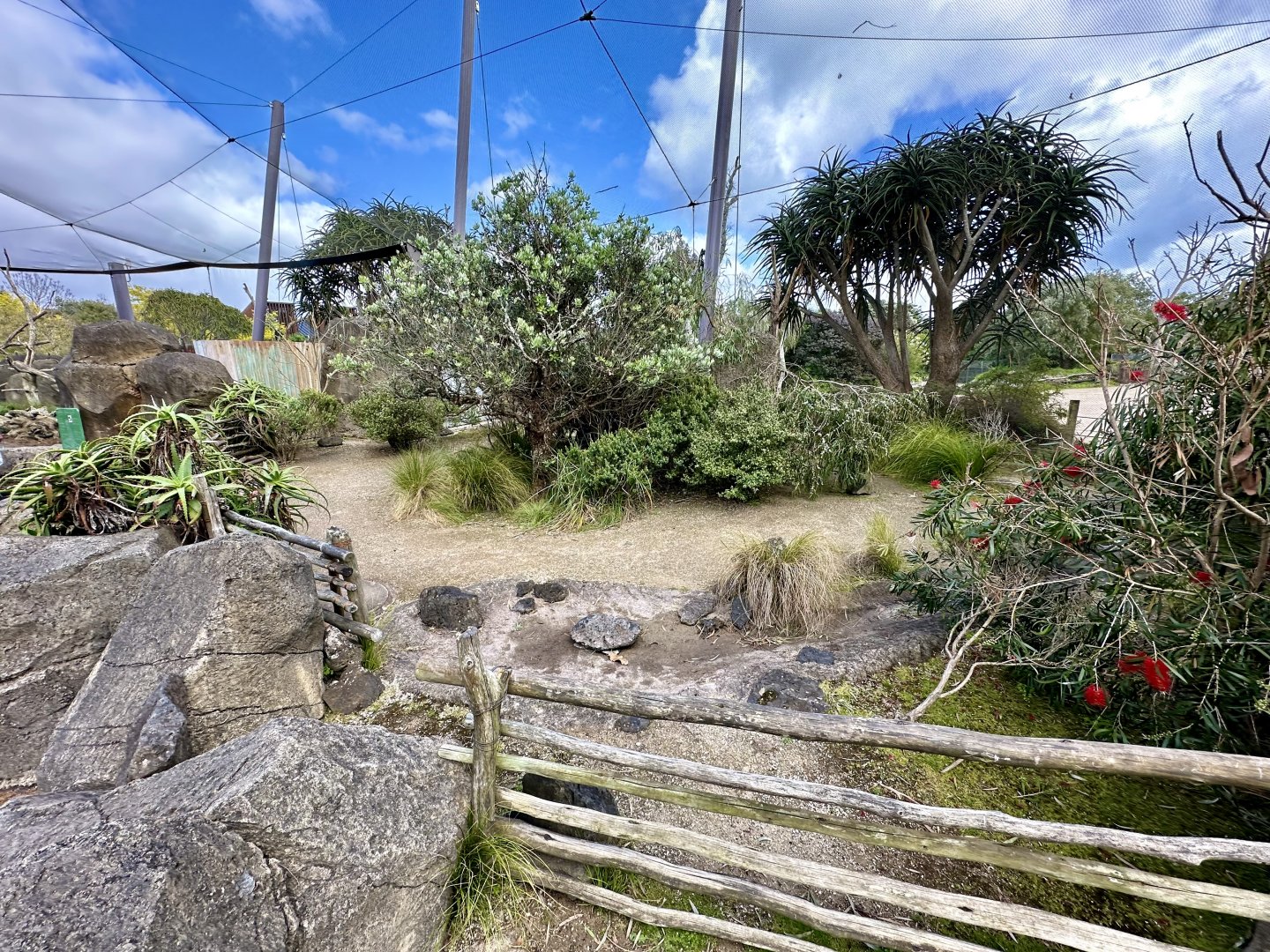 Leopard Tortoise Exhibit