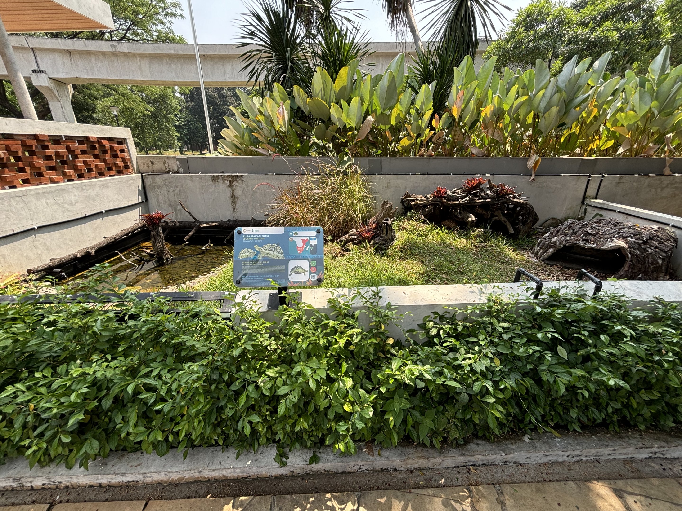 Leopard Tortoise Exhibit