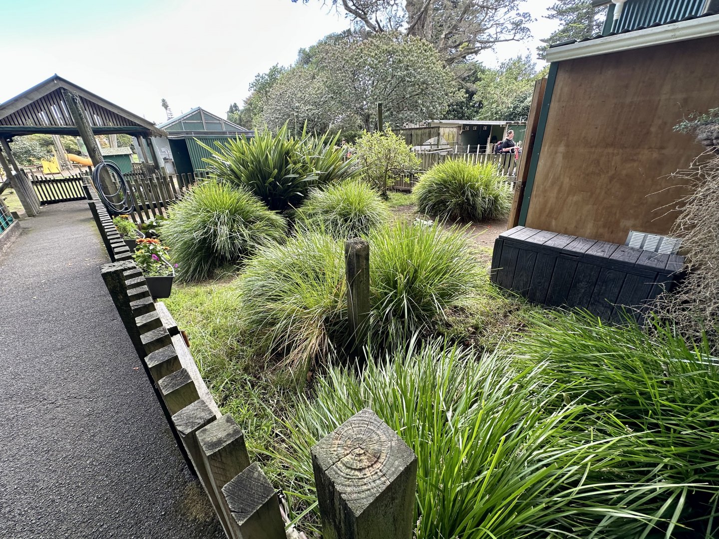 Leopard Tortoise Exhibit