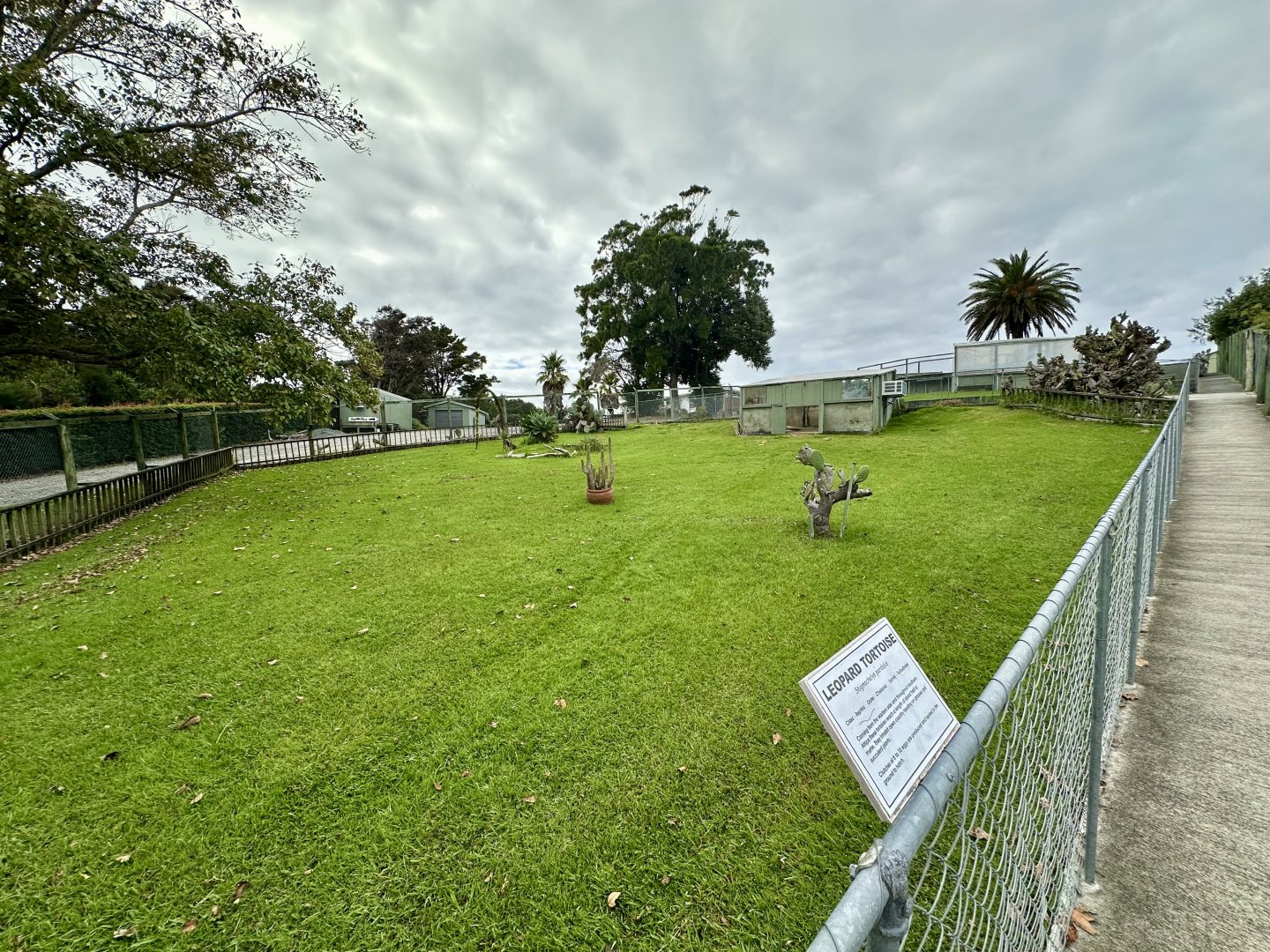 Leopard Tortoise Exhibit
