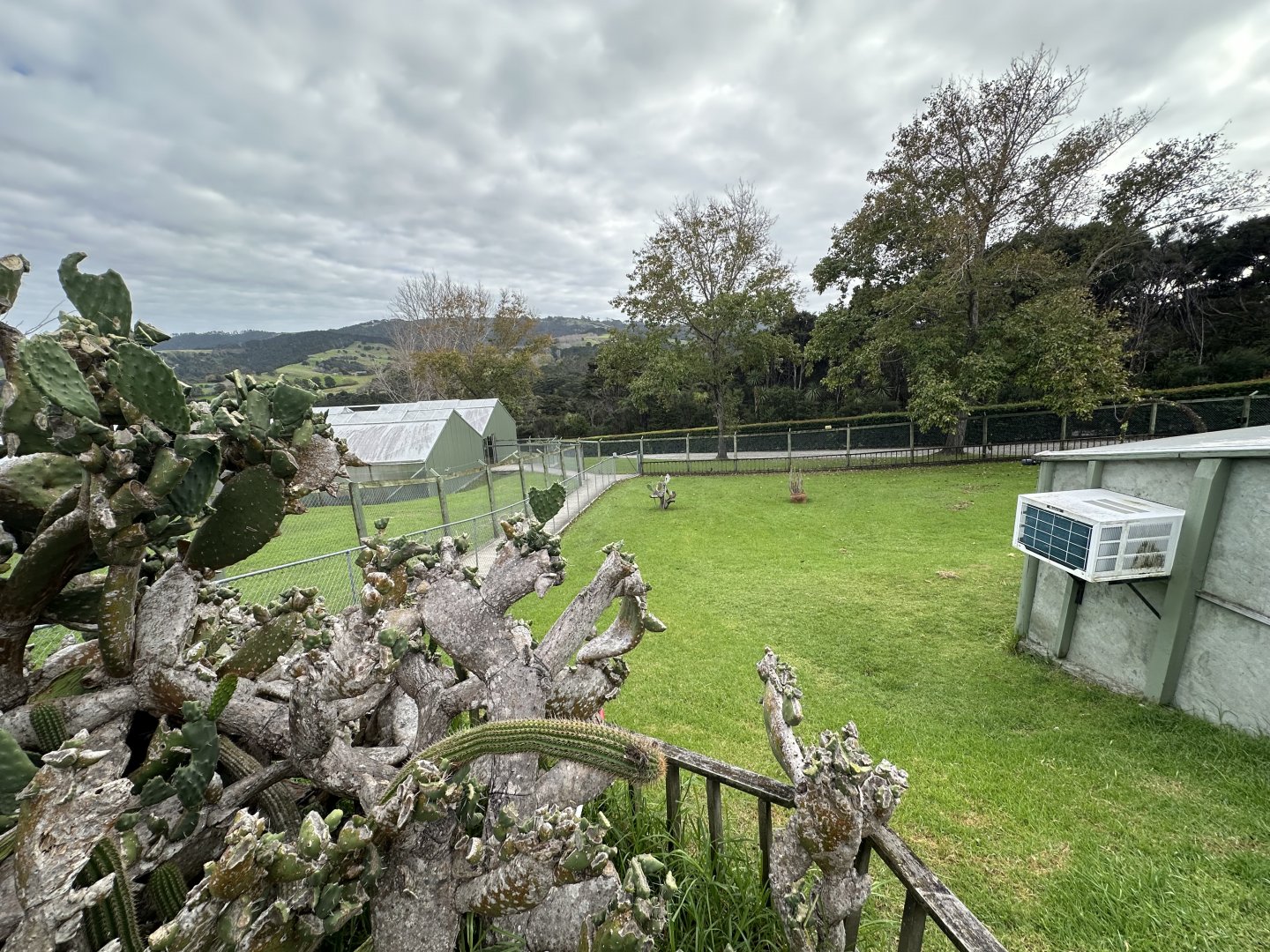 Leopard Tortoise Exhibit