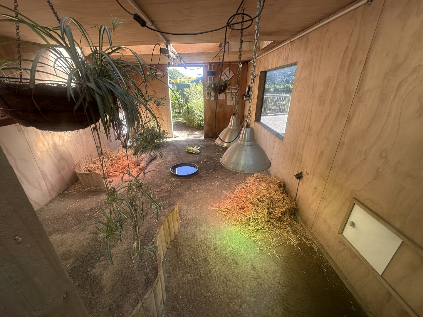 Leopard Tortoise House (Interior)