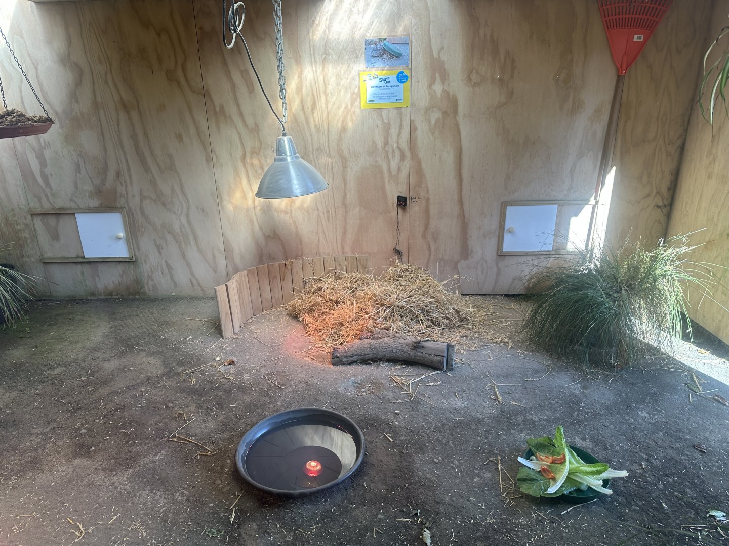Leopard Tortoise House (Interior)