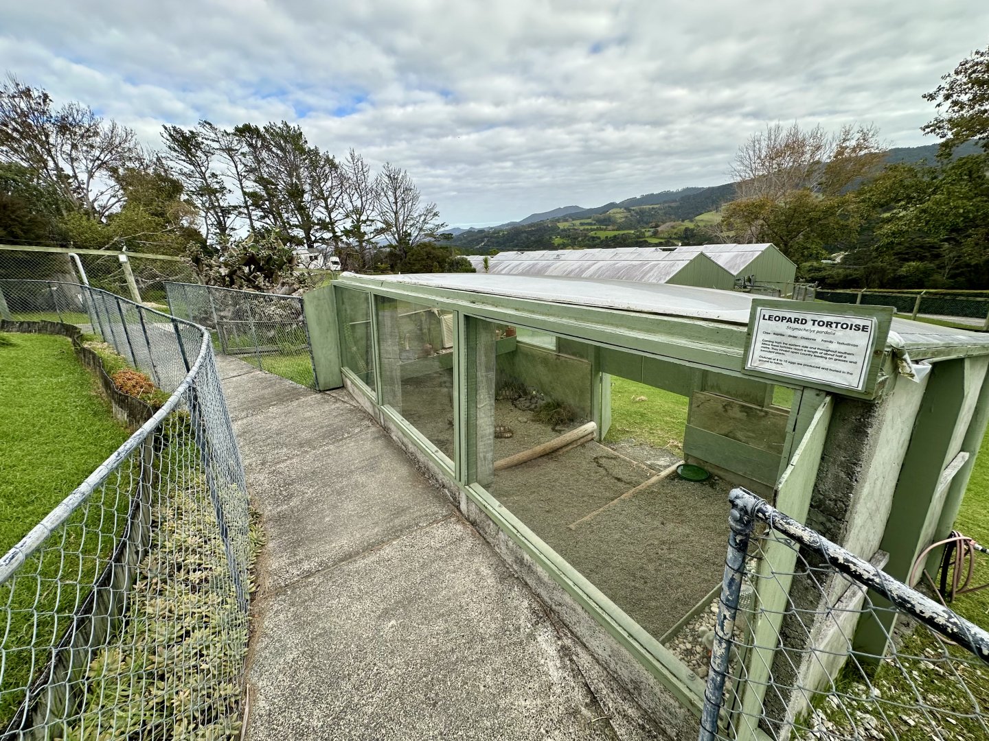 Leopard Tortoise House