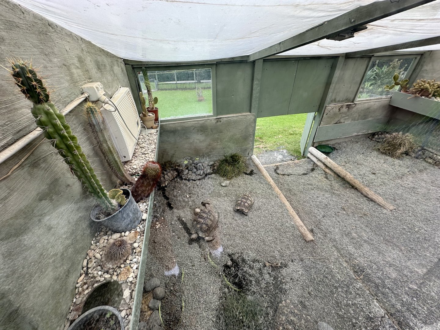 Leopard Tortoise House