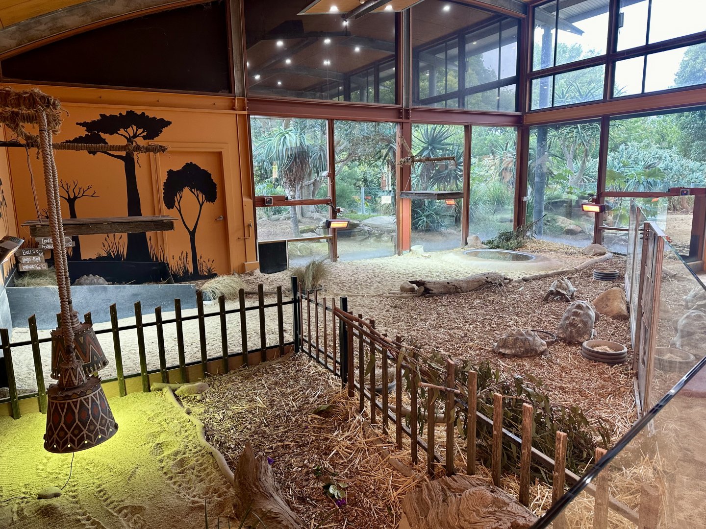 Leopard Tortoise Indoor Exhibit