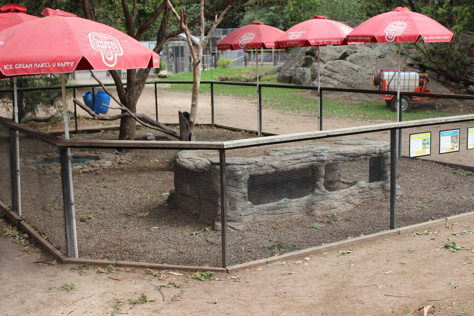 Leopard Tortoise/Native Turtle Enclosure and Show Area