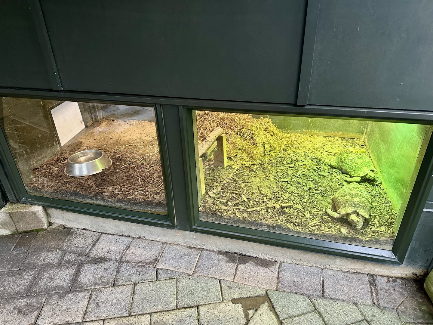 Leopard Tortoise Nest Box