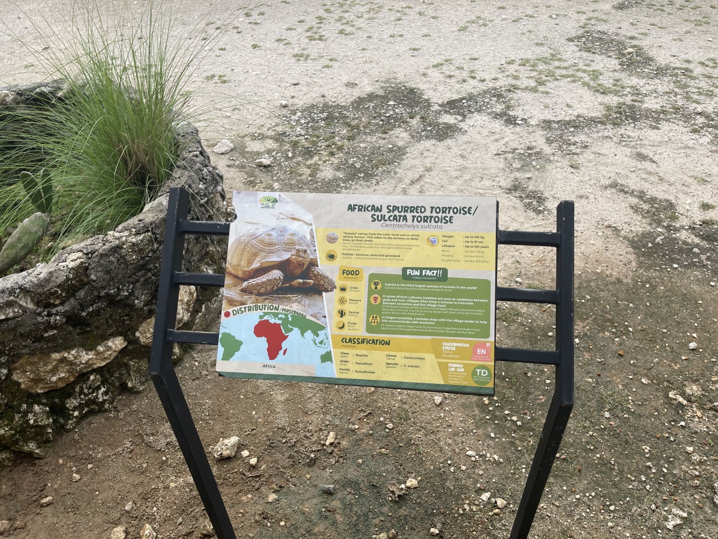 leopard tortoise signage - aviary park